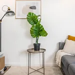 Campolide Duplex Apartamento